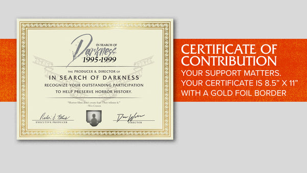In Search of Darkness ’90s
